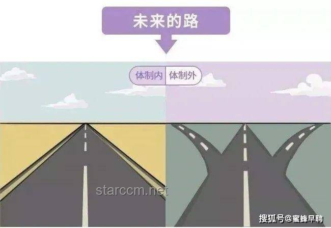 老板现场发百万让员工带薪收麦：企业管理新趋势与员工关怀深度剖析